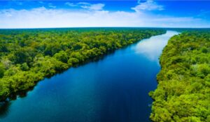 Amazonia-floresta-1024x597-1