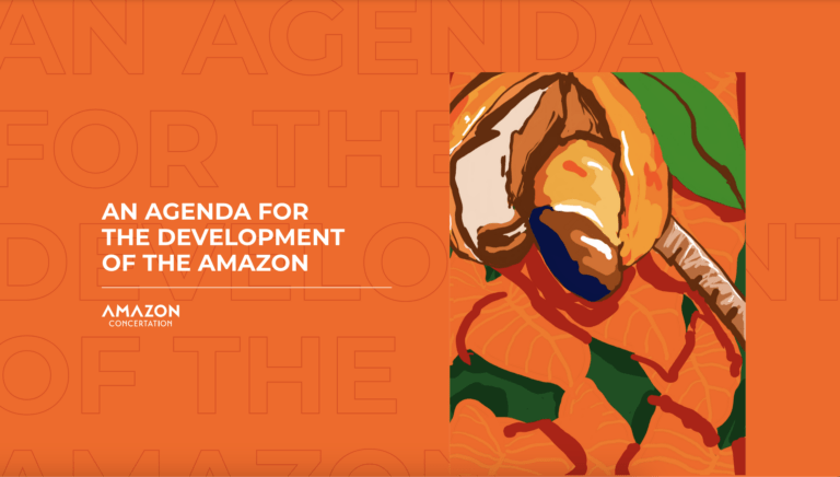 An agenda for the development