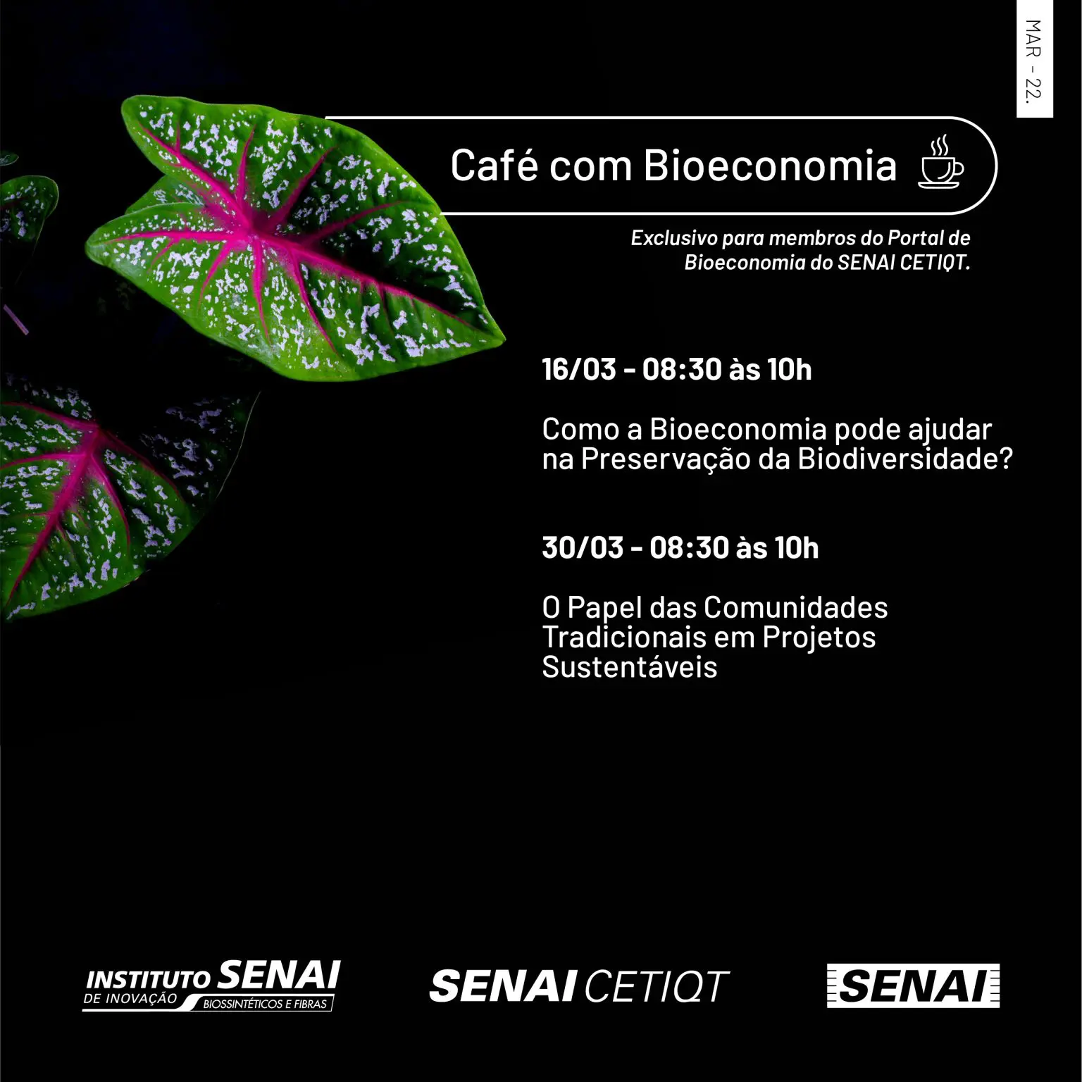 O Papel das Comunidades Tradicionais em Projetos Sustentáveis