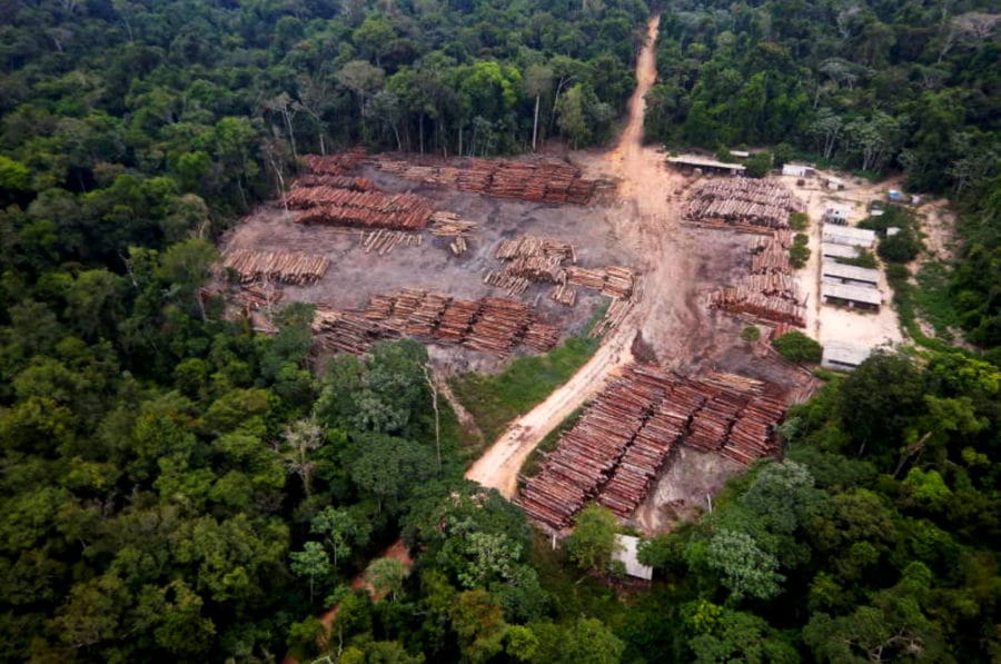 Deputados da Amazônia Evitam Pautas Ambientais