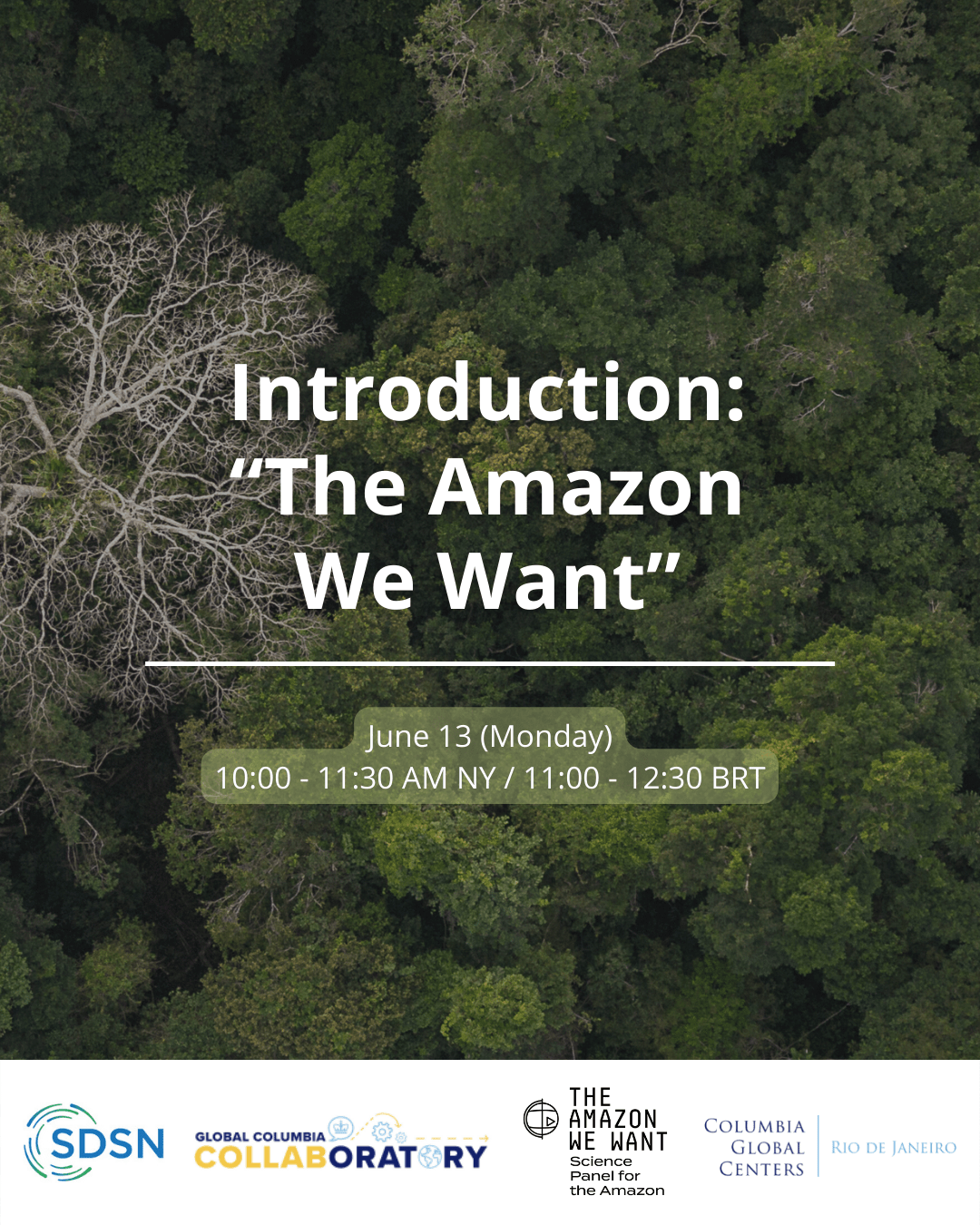 Webinar The Amazon We Want