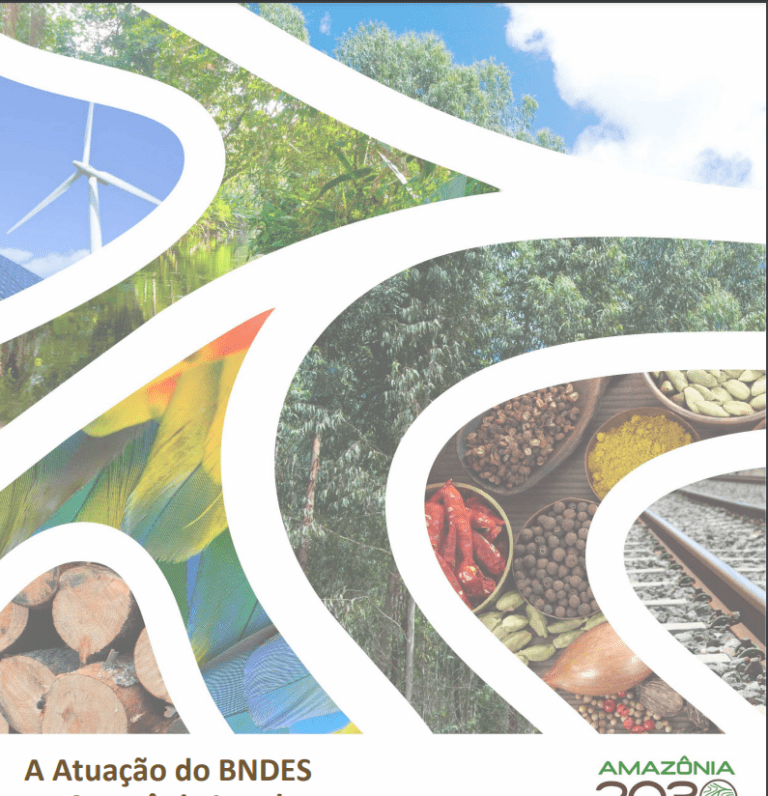 A atuação do BNDES na Amazônia Legal