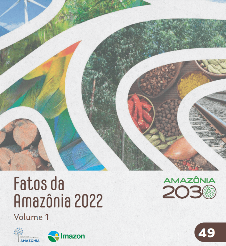 FatosAmazonia2022_FINAL_web