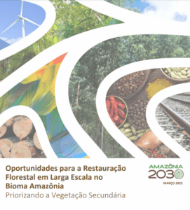 Oportunidades para restauração florestal em larga escala