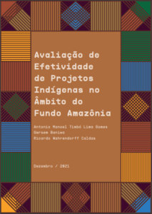 Relatorio-Efetividade-Indigenas