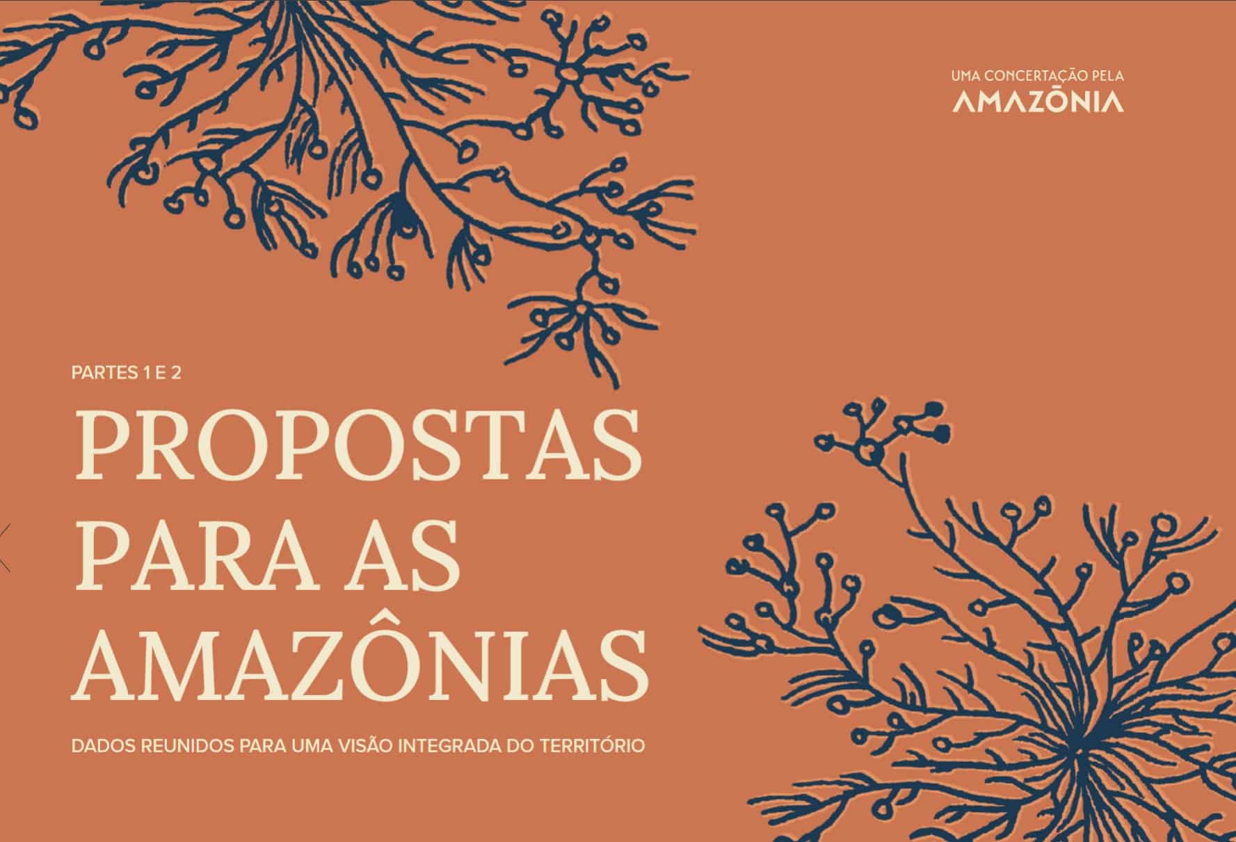 Capa Propostas para as Amazônias - Dados Reunidos