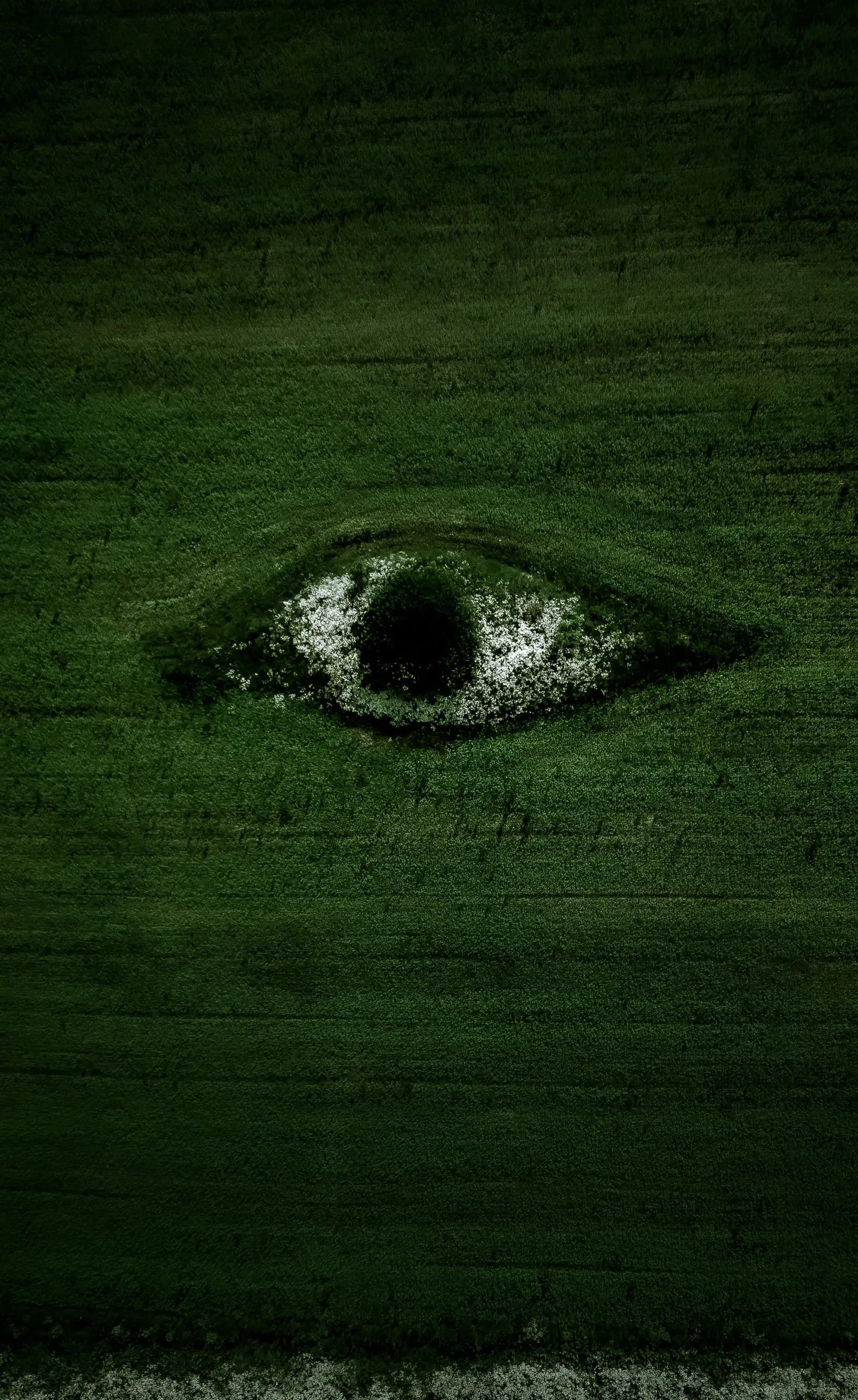 egor-vikhrev-TJ0KagkqA2Y-unsplash-scaled-1