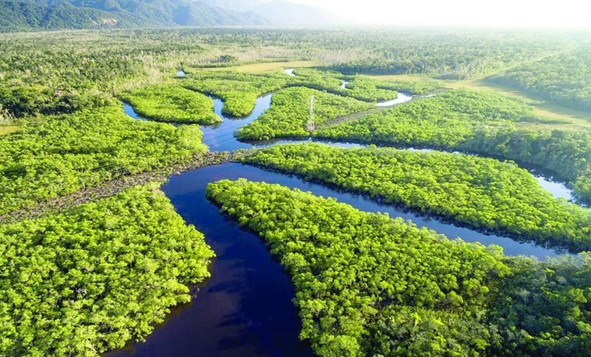organizacoes-propoem-agenda-pela-amazonia-para-futuro-governo