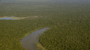 foto30esp-101-amazonia-f5