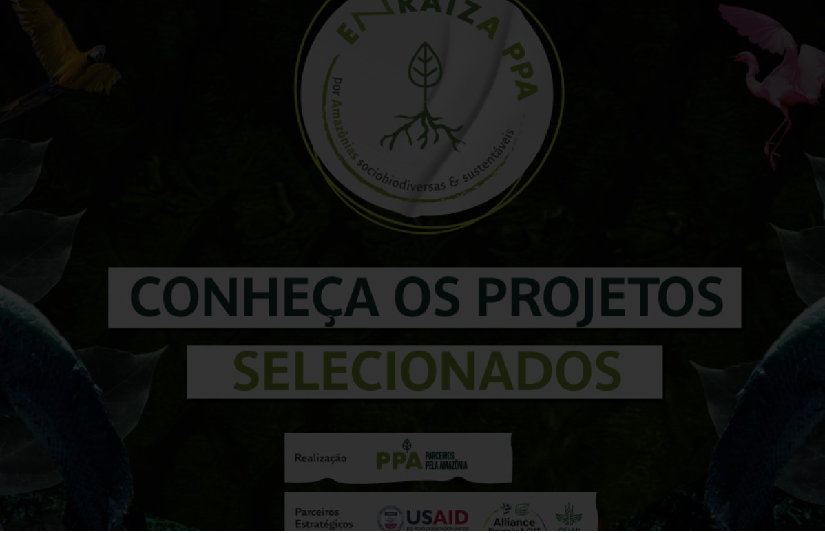 Captura-de-tela-2023-04-12-165357