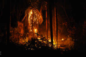 Incendio_en_Nembi_Guasu