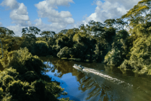1_amazonia_jpeg-28789496