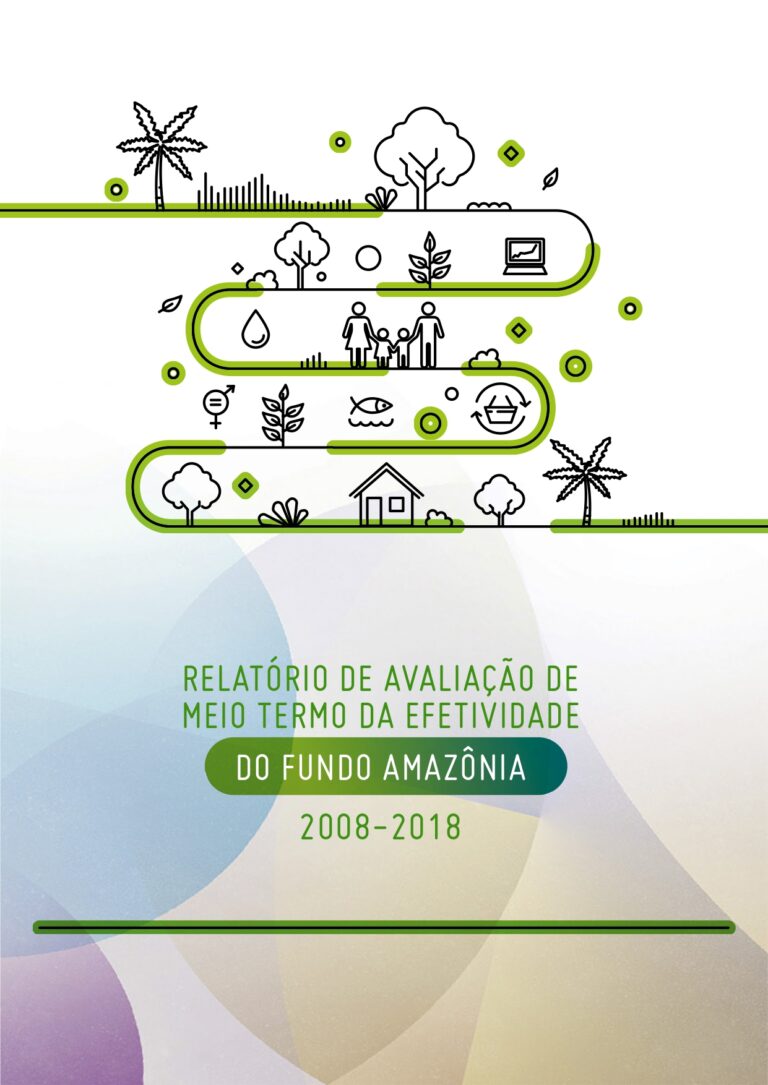 FA-Relatorio-Avaliacao-Meio-Termo-Fundo-Amazonia_page-0001