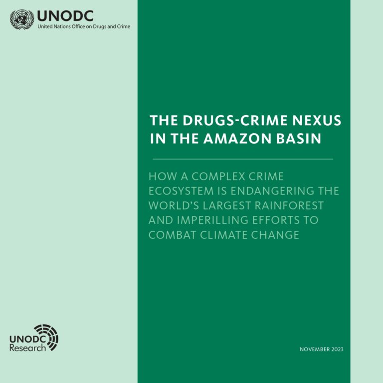 sc_en_the-drugs-crime-nexus-in-the-amazon-basin_page-0001