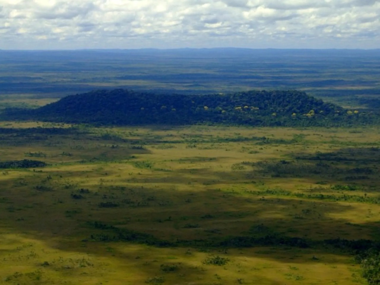 1parna-campos-amaznicos-jpg-Grande