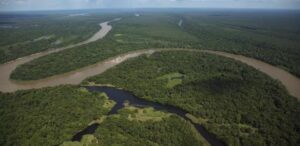 23emp-100-amazonia-b7-img01