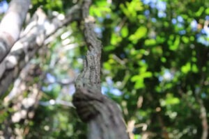img-0194