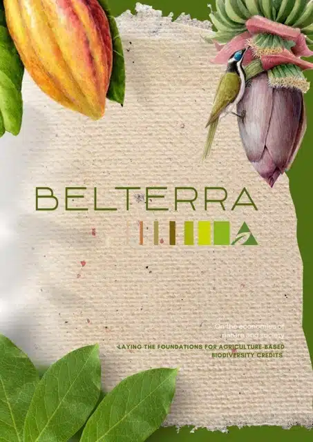 On-the-economies-of-nature-and-society-18-06-2024-imagens-0-Media