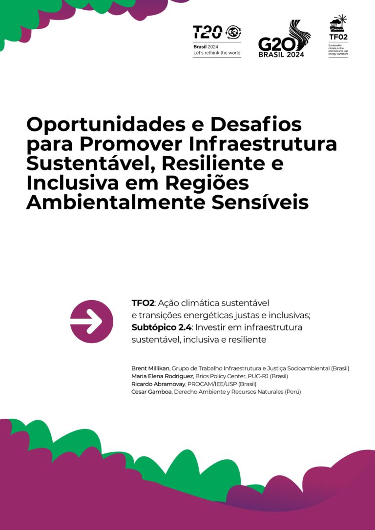 Infraestrutura-Amazonia-Policy-Brief-TF02-imagens-0