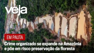 vejaimage19-8