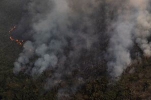 20240801fogoamazonia-greenpeacemarizilda-gp0su1t9r