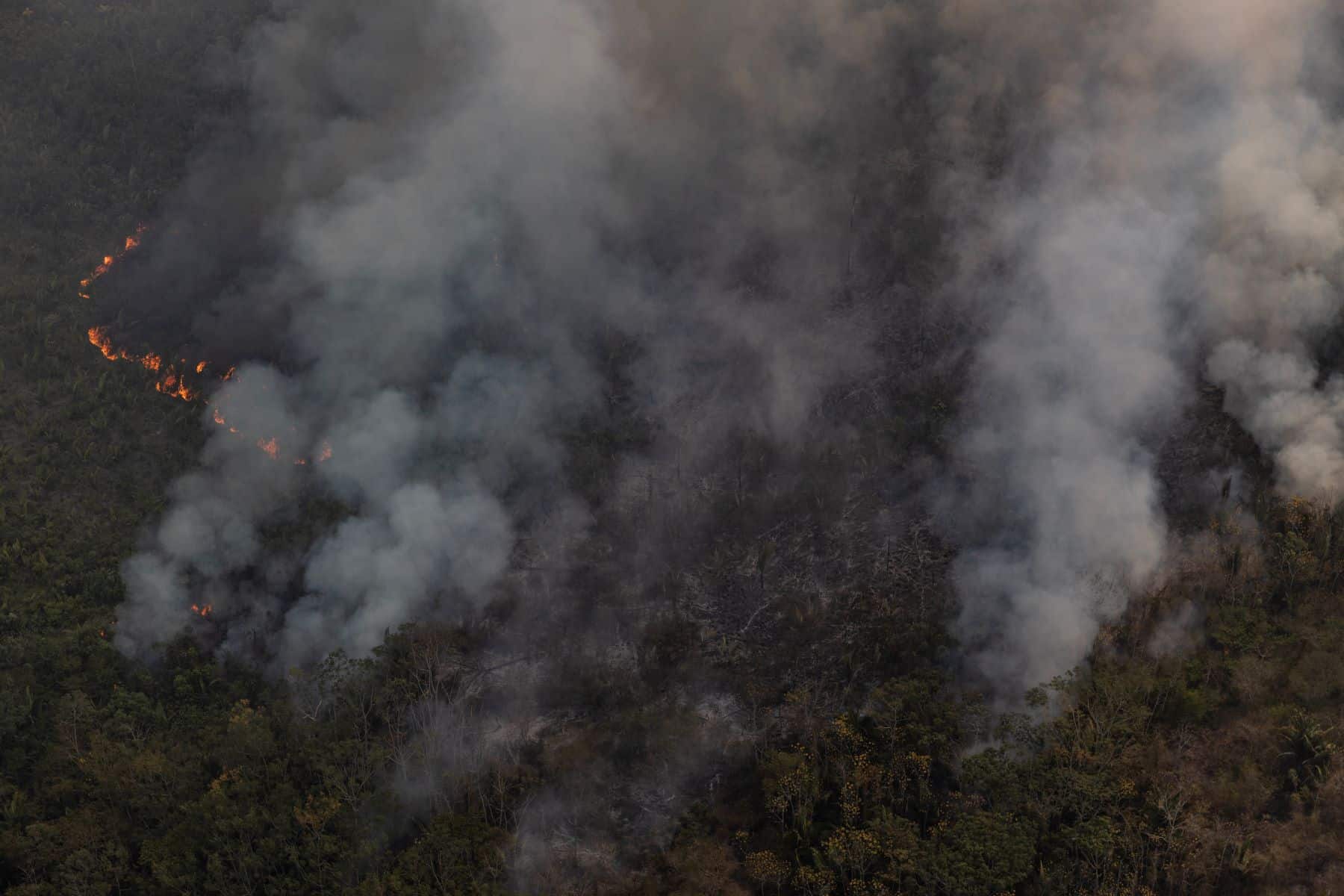 20240801fogoamazonia-greenpeacemarizilda-gp0su1t9r