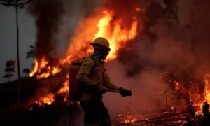 89146515-a-brazilian-institute-for-the-environment-and-renewable-natural-resources-ibama-fire-brigad