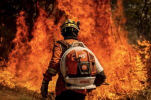 HquNCRsT-incendio-florestal-bsb2_mcamgo_a-2-jpg Média
