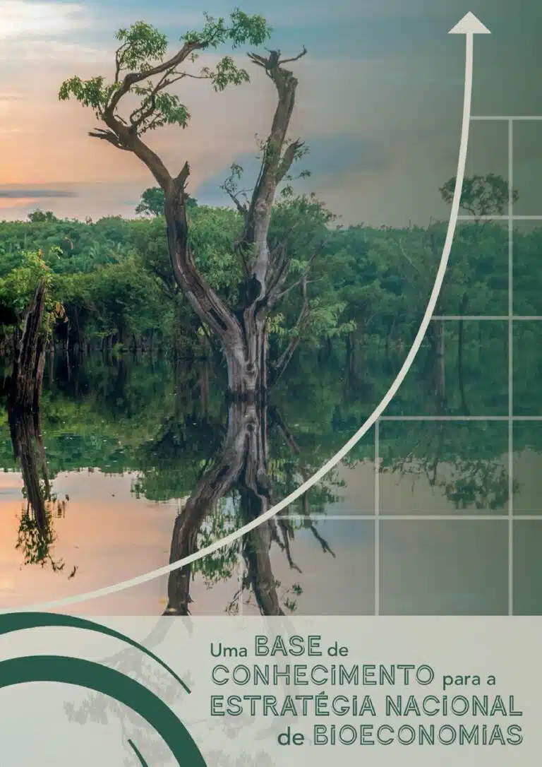 Relatório Bioeconomia_FINALr-imagens-0 Grande