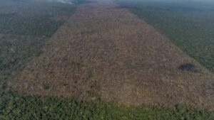 vista-aerea-de-uma-area-desmatada-na-amazonia-para-expansao-da-pecuaria-em-labrea-am-1632947992800_v2_900x506 Grande