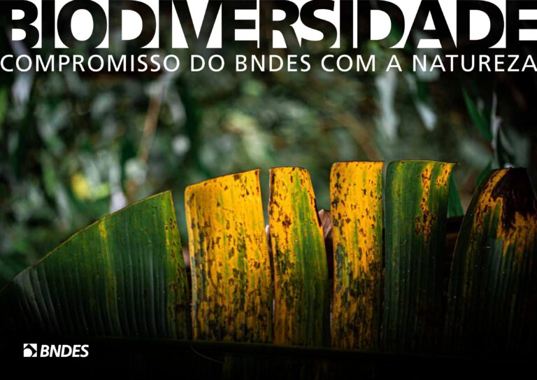 BNDES_BIODIVERSIDADE_1810b-imagens-0(1)