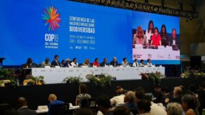 w4TM2uN2-COP16-High-Level-Segment-jpg Grande