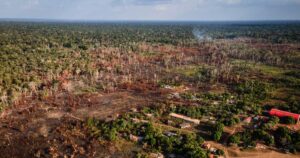 20210503_amazonia_desmatamento_args