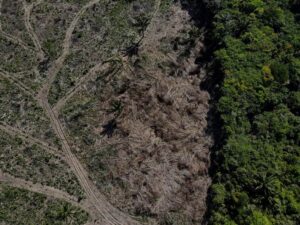 2022-10-07t171259z-1021400778-rc2l7v9lsv3p-rtrmadp-3-brazil-environment