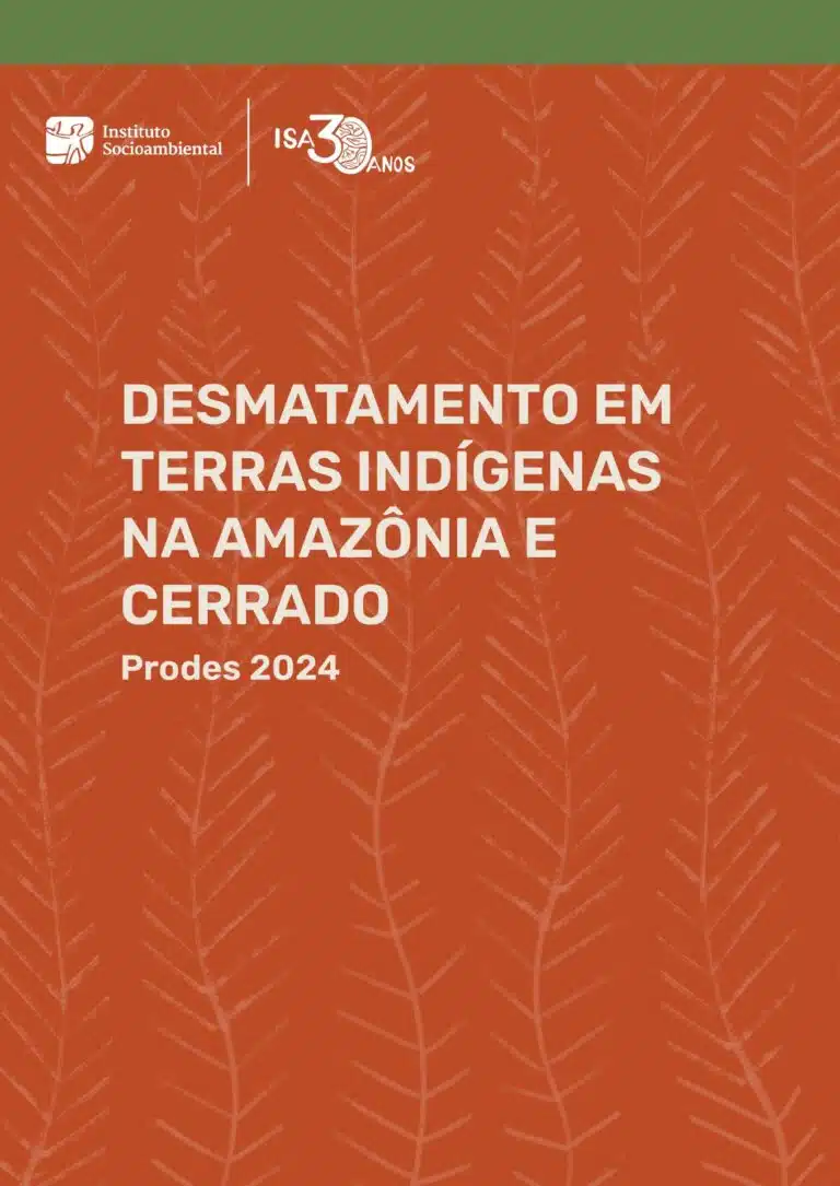 Desmatamento em Terras Indígenas na Amazônia e Cerrado - Prodes 2024-1_page-0001