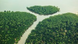 reforma-tributaria-protecao-ambiental-amazonia-848x477