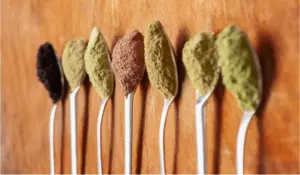 94VUpPQY-Regenerative-freeze-dried-powder