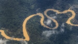 Amazonia-848x477