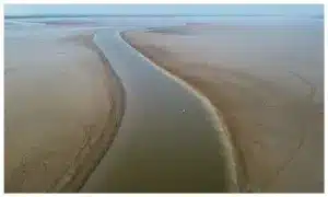 amazonas