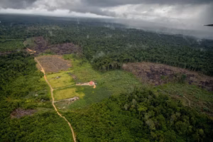 desmatamento-na-amazonia-foto-christian-braga-greenpeace