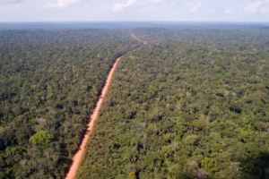 93181189-pa-santo-antonio-do-matupi-am-02-06-2021-especial-amazonia-floresta-amazonica-proximo-a