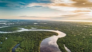 1-amazonia-greenpeace-1024x702.jpeg