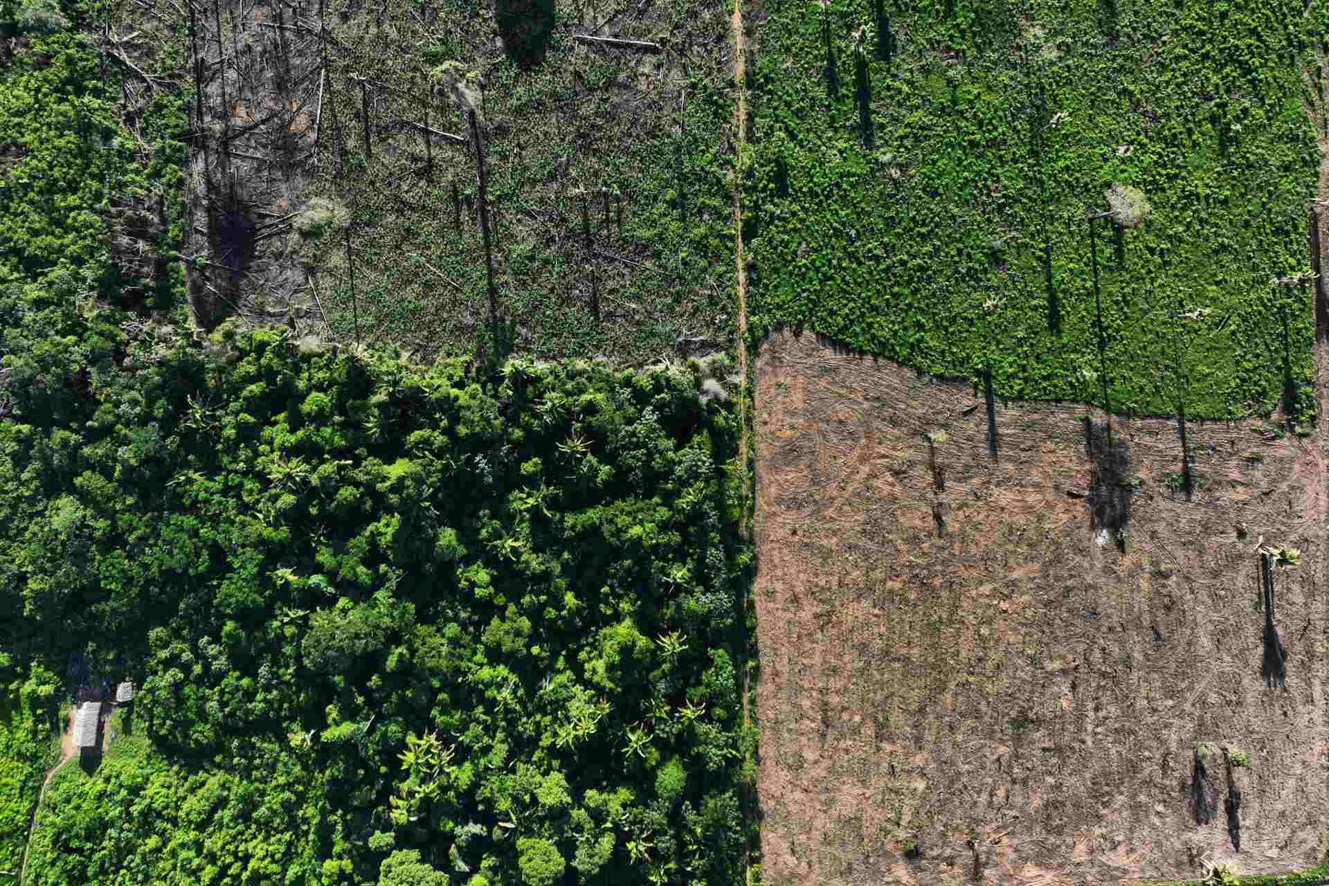 2023-01-20t024203z-56720984-rc2tty95dmys-rtrmadp-3-brazil-environment