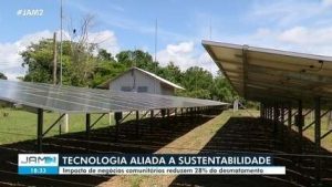 Negócios comunitários reduzem desmatamento em 28%