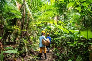 Pará lidera investimentos sociais na Amazônia Legal