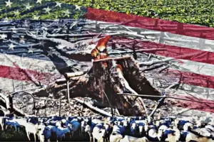 desmatamento-na-Amazonia-e-a-guerra-comercial-com-os-EUA