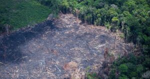 A estacao seca na Amazonia ocorre entre julho e novembro mas pode variar de regiao