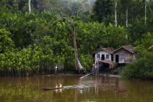 Capa_Narcotrafico-na-Amazonia-comunidades-estao-no-meio-do-fogo-cruzado-diz-especialista