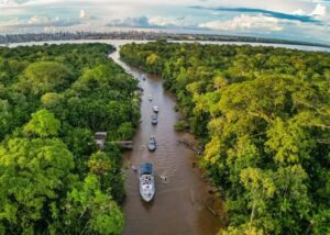 Cerca de 40 da população da Amazonia Legal vive hoje num grau de inseguranca alimentar moderada ou grave