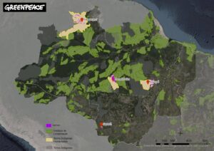 Localização das Terras Indígenas monitoradas pelo Greenpeace Brasil